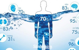 Phần lớn cấu tạo của cơ thể là nước, tại sao ta vẫn phải uống nhiều nước?