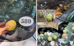 Dở khóc dở cười với những trái xoài Việt Nam được "định giá" vài chục triệu đồng