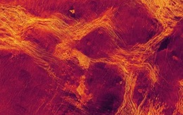 NASA chụp được bằng chứng Sao Kim sống được từ 17 năm trước?