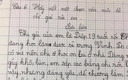 Bài văn tiểu học bóc phốt chị gái tận chân tơ kẽ tóc, còn kể cả lý do chị không có người yêu, nghe mà sôi máu