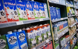 Trung Quốc đối mặt 'cơn khát' sữa trước thách thức không có đủ bò