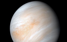 Lần đầu tiên sau 3 thập kỷ, NASA sẽ đưa tàu thăm dò trở lại Sao Kim khắc nghiệt hòng tìm dấu vết sự sống