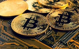 Đề nghị truy tố 16 đối tượng trong vụ cướp tiền ảo Bitcoin tương đương 35 tỷ đồng