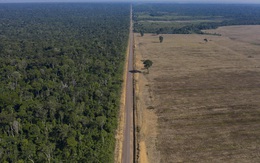 Kỷ lục 1.180 km² rừng Amazon tại Brazil bị phá hủy trong tháng 5