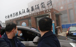 "Việc sớm loại bỏ giả thuyết Covid-19 rỏ rỉ từ phòng thí nghiệm ở Vũ Hán là sai lầm"