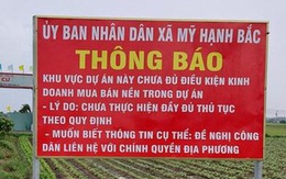 Rộ dự án bất động sản ngang nhiên 'bán lúa non' ở Long An