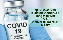 [Infographics] Quỹ vắc xin phòng Covid-19 công khai thu chi thế nào?
