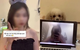 Drama căng đét giới TikTok: Hotgirl làm 1 loạt clip hướng dẫn học sinh gian lận, bị lên án, lời đáp trả càng gây phẫn nộ