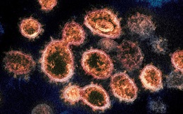 Singapore bác bỏ thông tin sai sự thật về Covid-19 gắn mác Bộ Y tế