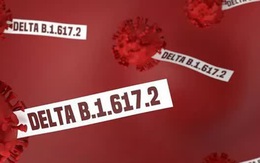 INFORGRAPHIC: Biến chủng Delta 'đánh thức' nỗi lo kéo dài đại dịch COVID-19