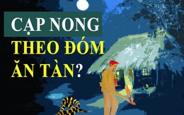 Thực hư quan niệm 'cạp nong theo đóm ăn tàn', bám theo con người vào nhà