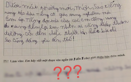 Cô giáo ra đề bài tự giới thiệu bản thân, cậu bé lớp 1 viết 3 dòng ngắn ngủi khiến giáo viên vừa cười vừa tức anh ách