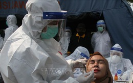 Người dân Indonesia săn lùng 'thần dược' chữa COVID-19 dù chưa được kiểm chứng