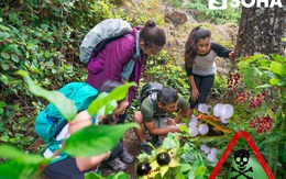 Đi rừng, dù đói khát cỡ nào cũng tuyệt đối không ăn những quả này: Bắt mắt nhưng cực độc!