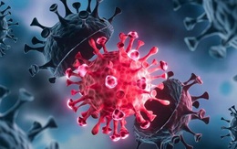 Chuyên gia Mỹ: Virus đột biến IOTA xuất hiện ở New York có tỷ lệ tử vong cao hơn ở người cao tuổi