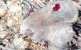 Gặp hòn đá biết 'chảy máu' chuyên gia mừng rỡ, bí mật 600 năm của một đế vương cận kề cái chết được tiết lộ