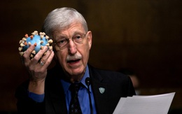 Giám đốc Viện Y tế Quốc gia Mỹ: Không loại trừ khả năng COVID-19 xuất phát từ phòng thí nghiệm Vũ Hán