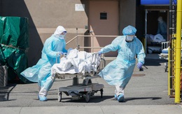 Vừa nhậm chức, tân Thống đốc New York công bố số ca tử vong thực vì Covid-19