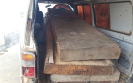 Vụ "Chủ tịch xã bắt gỗ lậu về biếu cán bộ": 80 lóng gỗ về vườn Phó chủ tịch huyện