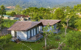 Đầu tư farmstay: Cuộc chơi của “đại gia” tiền tỷ