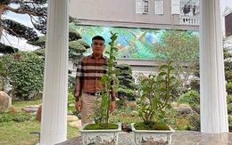 Chân dung “bà trùm” và nghi vấn rửa tiền của đại gia lan đột biến