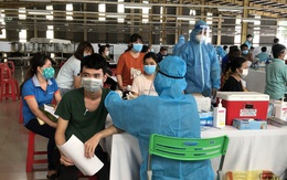 Vì sao số ca F0 ở Bình Dương cao, tỉ lệ bệnh nhân Covid-19 tử vong thấp?