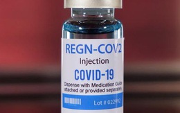 Thuốc trị Covid-19 mà Thaiholdings, Tập đoàn Xuân Thành xin nhập: Từng chữa khỏi cho cựu tổng thống Mỹ Donald Trump; được Nhật Bản, Ấn Độ và Bahrain phê chuẩn khẩn cấp