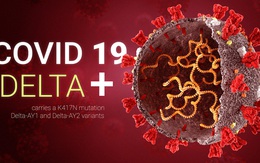 Vì sao Covid-19 biến thể Delta bùng phát mạnh mẽ tại 132 quốc gia và khu vực: 9 điều cần biết