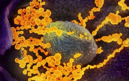 Chuyên gia Trung Quốc cảnh báo phải sống chung “lâu dài hoặc mãi mãi” với Covid-19