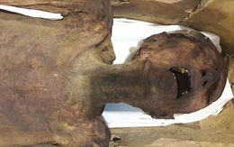 Tìm thấy "xác ướp la hét" kỳ lạ, các nhà khoa học phát hiện âm mưu đáng sợ trong gia đình hoàng gia nổi tiếng nhất thế giới từ 3.000 năm trước
