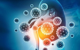 Bệnh COVID-19 có thể gây tổn thương thận