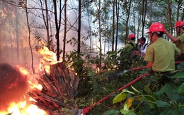 Sai phạm hàng loạt ở Chi cục Kiểm lâm tỉnh Quảng Trị: Không chuyển cơ quan điều tra vì... thành khẩn khắc phục?