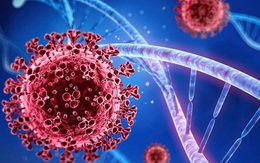 Khi nào người mắc COVID-19 mới hết triệu chứng?