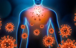 Mỹ: Khám nghiệm tử thi nạn nhân COVID-19, phát hiện 4 con đường tấn công của SARS-CoV-2