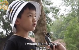 Khách Tây bắt chuyện Tiếng Anh, ai ngờ gặp trúng thần đồng Việt Nam, kinh ngạc trước màn đối đáp của cậu bé 7 tuổi