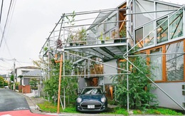 Gia đình ba thế hệ thiết kế ngôi nhà đặc biệt chỉ toàn ánh sáng và cây xanh ở Nhật Bản