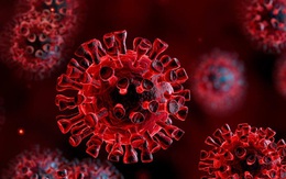 Phát hiện thêm tác hại của SARS-CoV-2 ở bệnh nhân COVID-19 nặng