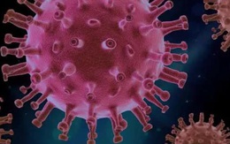 Xác định được một yếu tố góp phần vào mức độ nghiêm trọng của COVID-19