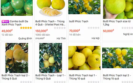 Hàng loạt nông sản lên chợ mạng, thêm kênh tiêu thụ trong dịch Covid-19