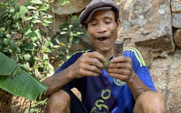 "Người rừng" Hồ Văn Lang qua đời sau 8 năm từ rừng sâu trở về