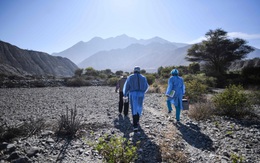 Từng là tâm dịch Covid-19, vì sao số ca bệnh ở Nam Mỹ đột nhiên giảm nhanh và mạnh?