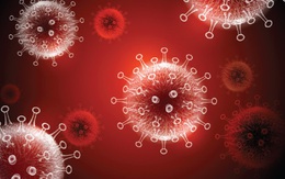 Phát hiện thêm hậu quả đáng lo ngại của COVID-19