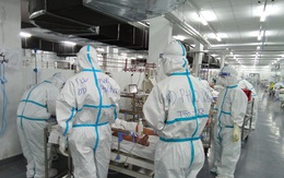 Luật sư Nguyễn Vân Nam qua đời vì mắc Covid-19