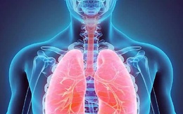 Chăm sóc phổi đúng cách trong mùa dịch COVID-19