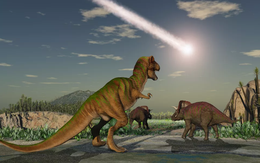 Trớ trêu thay, thiên thạch Chicxulub tuyệt diệt loài khủng long rơi xuống Trái Đất vào mùa xuân