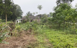 Bị chê mua đất 'khỉ ho cò gáy' nhà đầu tư vẫn thắng đậm gấp 2 - 3 lần