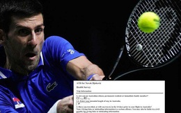 Tay vợt Djokovic bị điều tra về 'tội khai man'