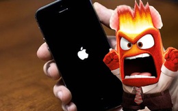 Lưu ngay 3 cách để tìm lại iPhone bị mất dành riêng cho hội "não cá vàng"