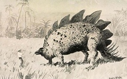 Bí ẩn 'Đảo trên mây': Thực hư nơi khủng long vẫn tung tăng đi lại