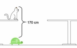 Bài Toán được đăng tải trên tờ báo nổi tiếng nước Anh, chỉ dùng kiến thức lớp 1 nhưng khiến khối người bó tay